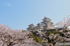 姫路城②