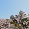 姫路城②