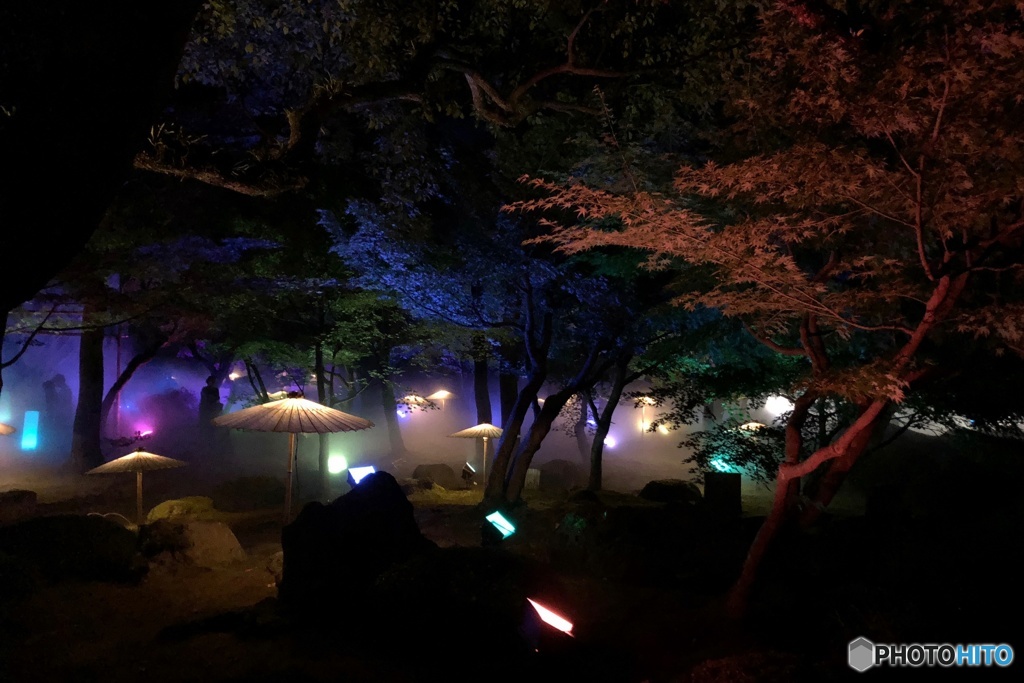 由志園　サマーイルミネーション2018　②