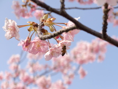 春、動き出す 春、動き出す