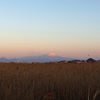 染まる大山