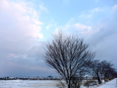 雪雲のほころび