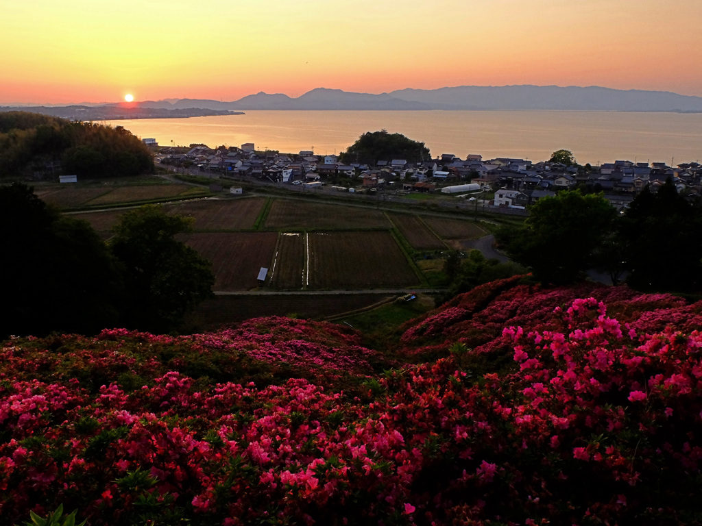 王陵の丘　夕景