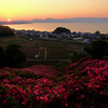 王陵の丘　夕景