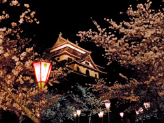 松江城　桜まつり