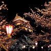 松江城　桜まつり