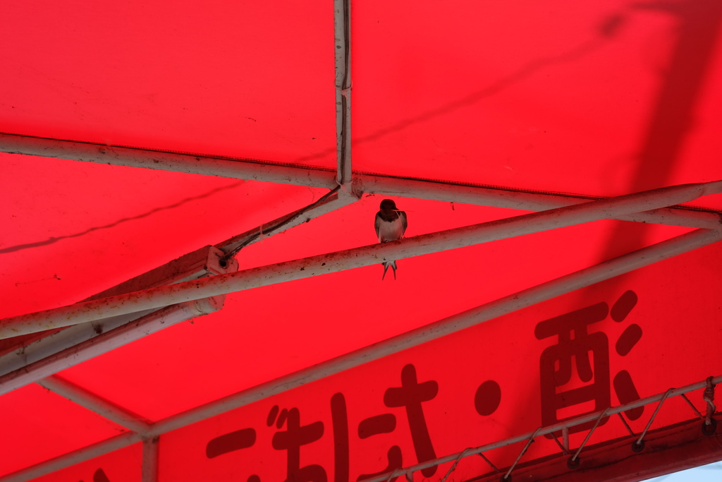 酒・たばこ