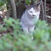 そんなに　見つめないで(*^_^*)