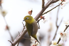 タイトル無し