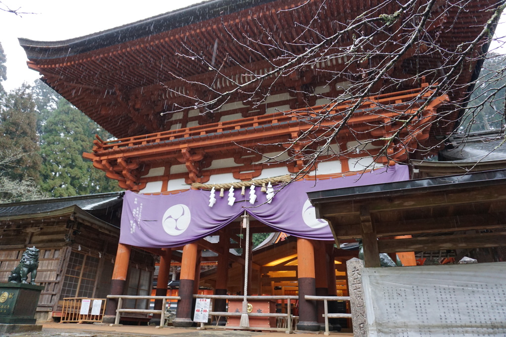 雨の丹生都比売神社4