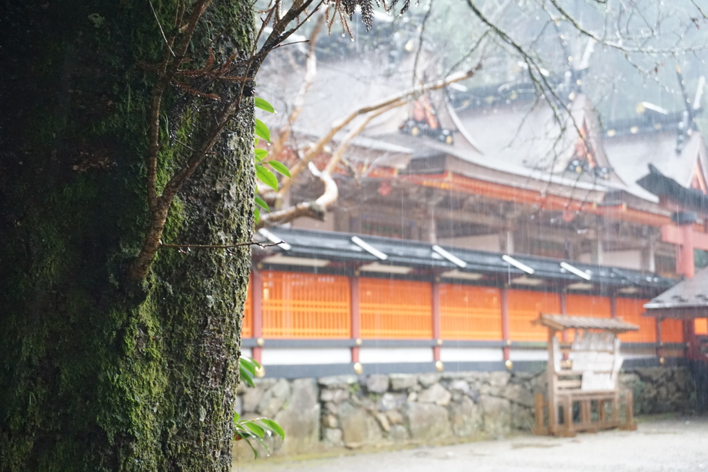 雨の丹生都比売神社6