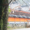 雨の丹生都比売神社6