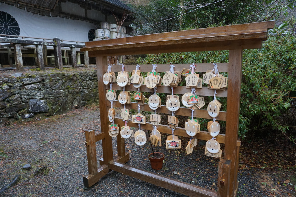 雨の丹生都比売神社5