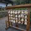 雨の丹生都比売神社5