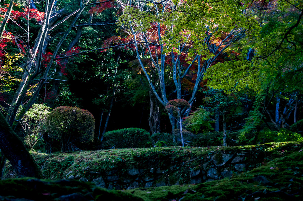 西明寺