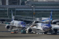 ANA・B787同士のお見合い