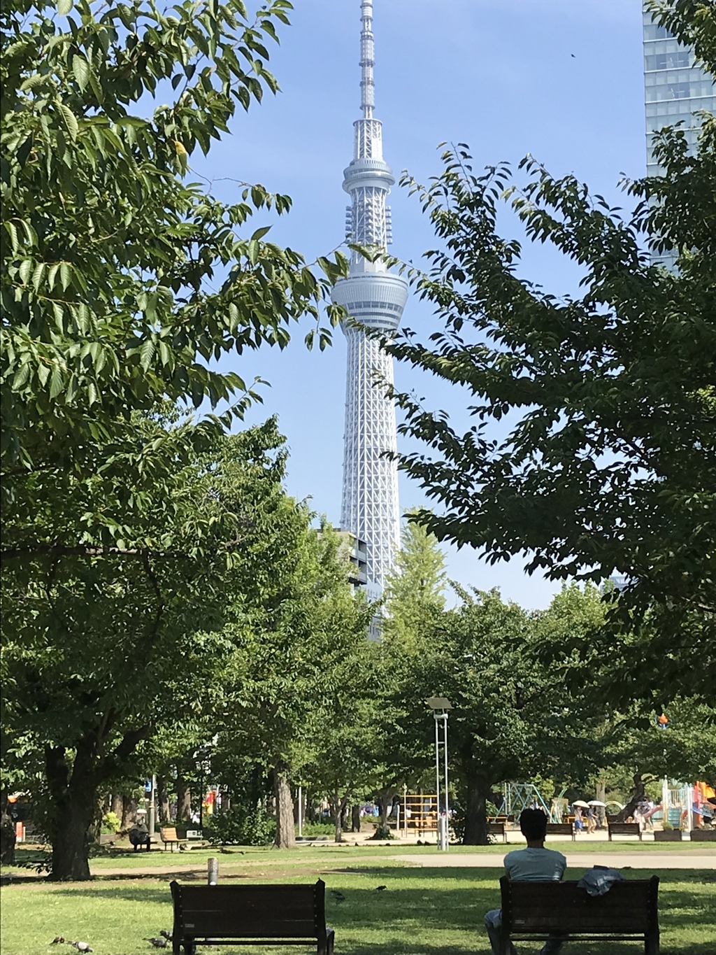 スカイツリー