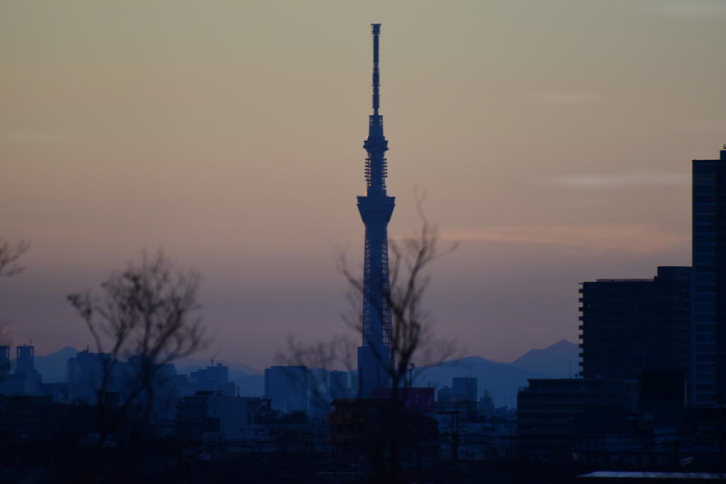 暮れなずむスカイツリー