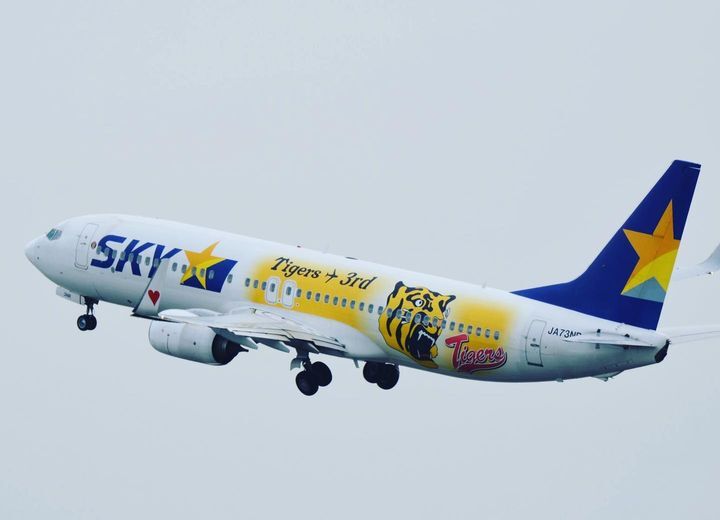 SkyMark（阪神タイガース塗装）