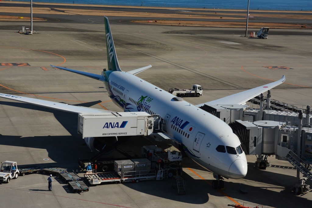 ANA Green Jet