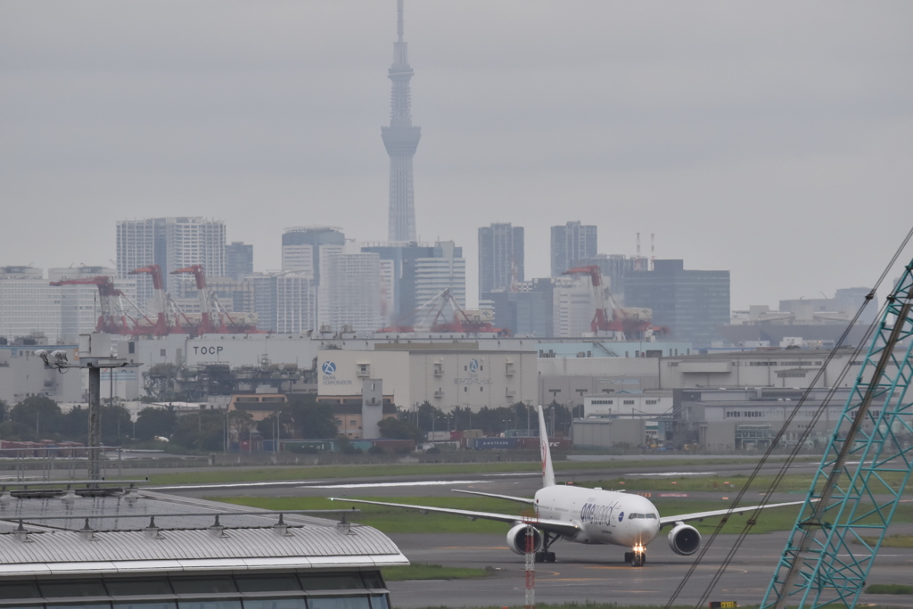 スカイツリーとコラボ②