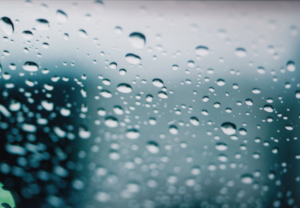 春の雨