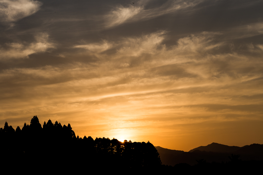 夕暮れ