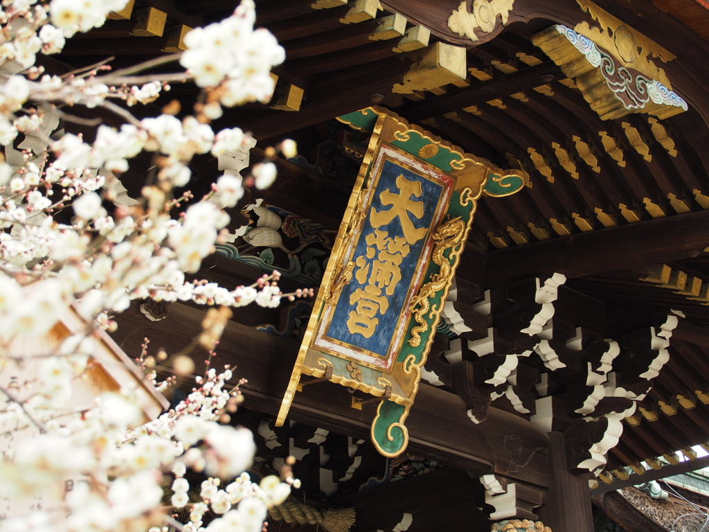 春の北野天満宮