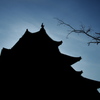 松江城の朝
