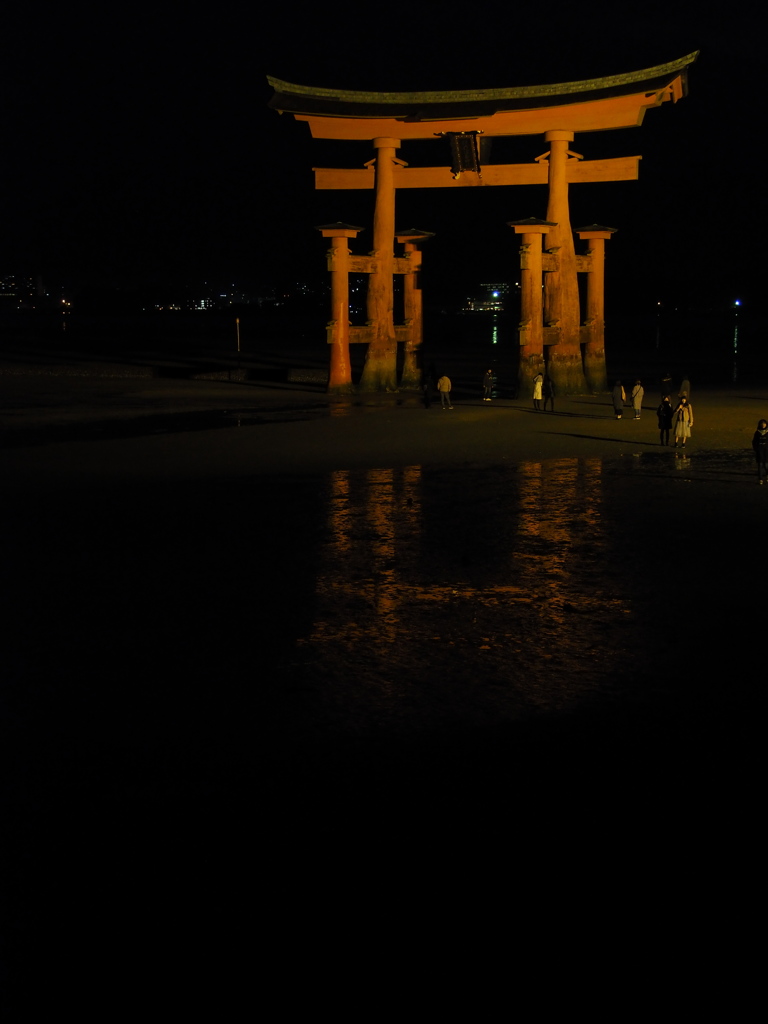 夜の大鳥居