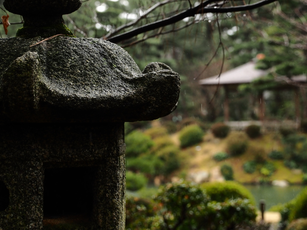 雨の縮景園