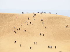 砂丘を登る人々