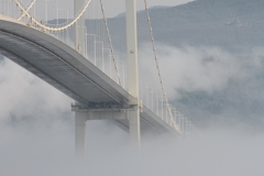 海霧と白鳥大橋