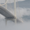 海霧と白鳥大橋