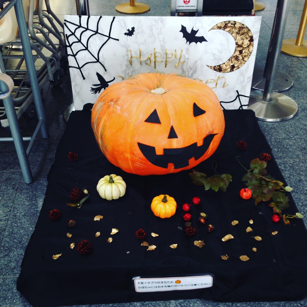 JAL ハロウィーン