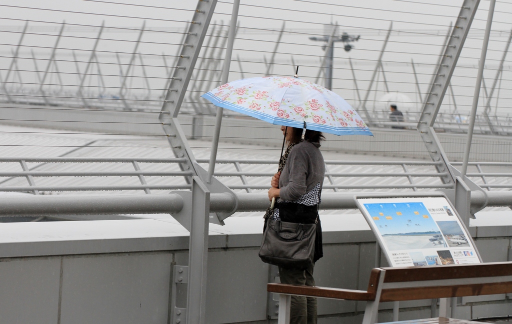 雨のセントレア
