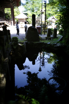 西教寺の池