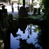 西教寺の池