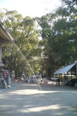 藤森神社: 派手なフレア