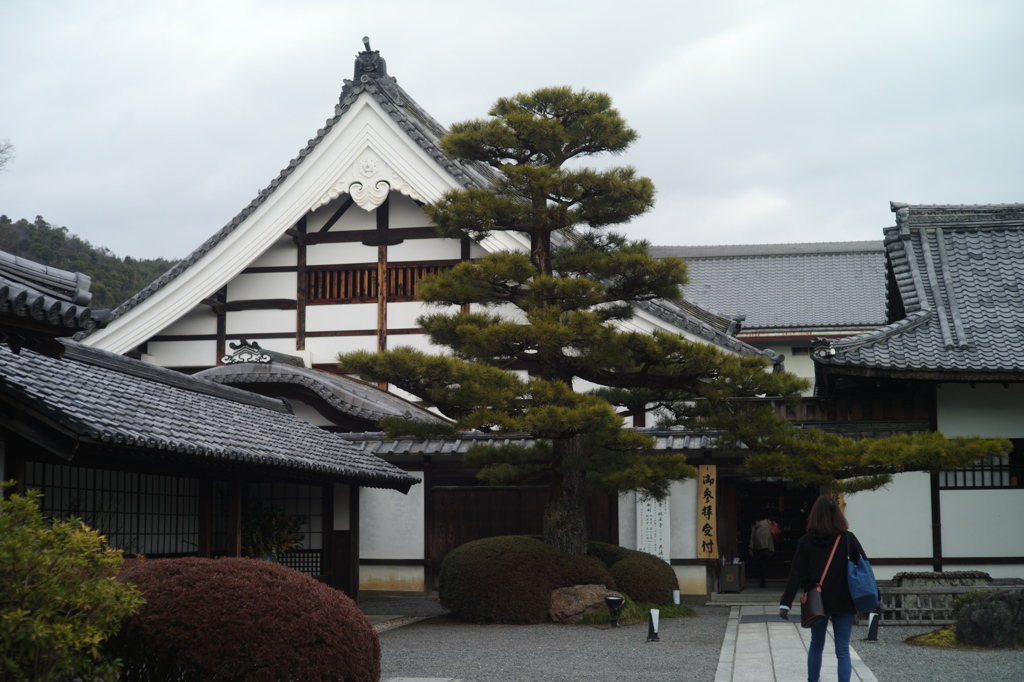 大覚寺: 入り口