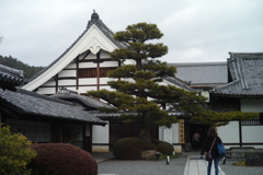 大覚寺: 入り口