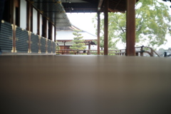 大覚寺: 鶯張りの廊下と舞台