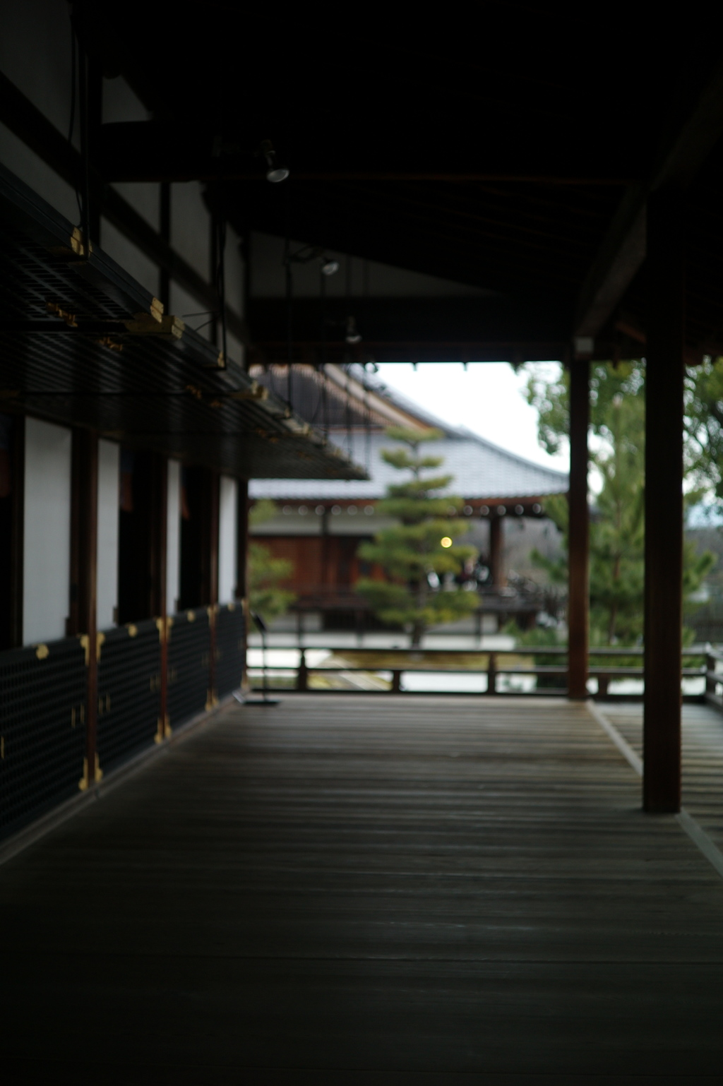 大覚寺: 舞台