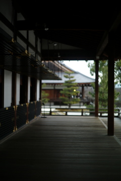 大覚寺: 舞台