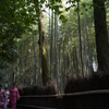 嵐山の竹林３ by Apoqualia-G 28mm/F2