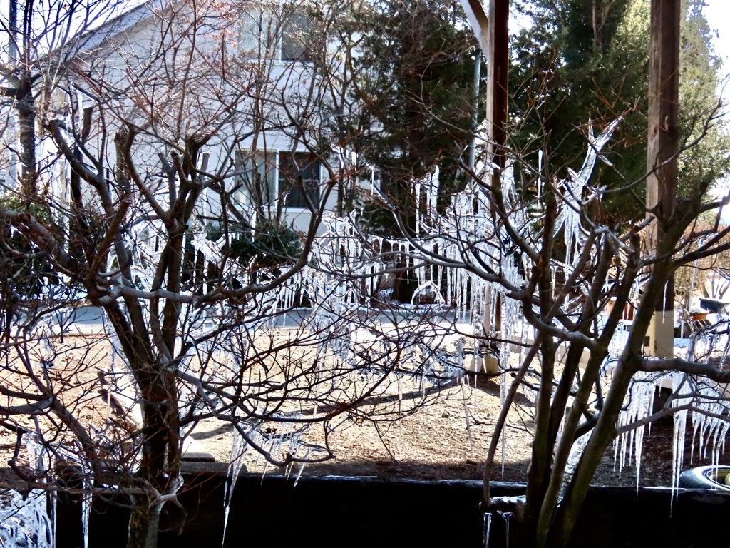 屋根の雪解け水が
