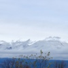 浅間山冠雪3