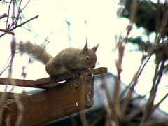 パーゴラから下を