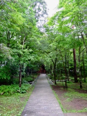 雨上がりの教会