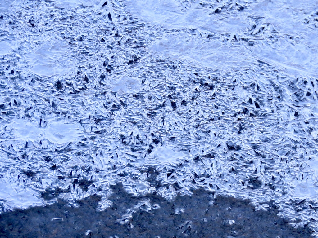 氷結2